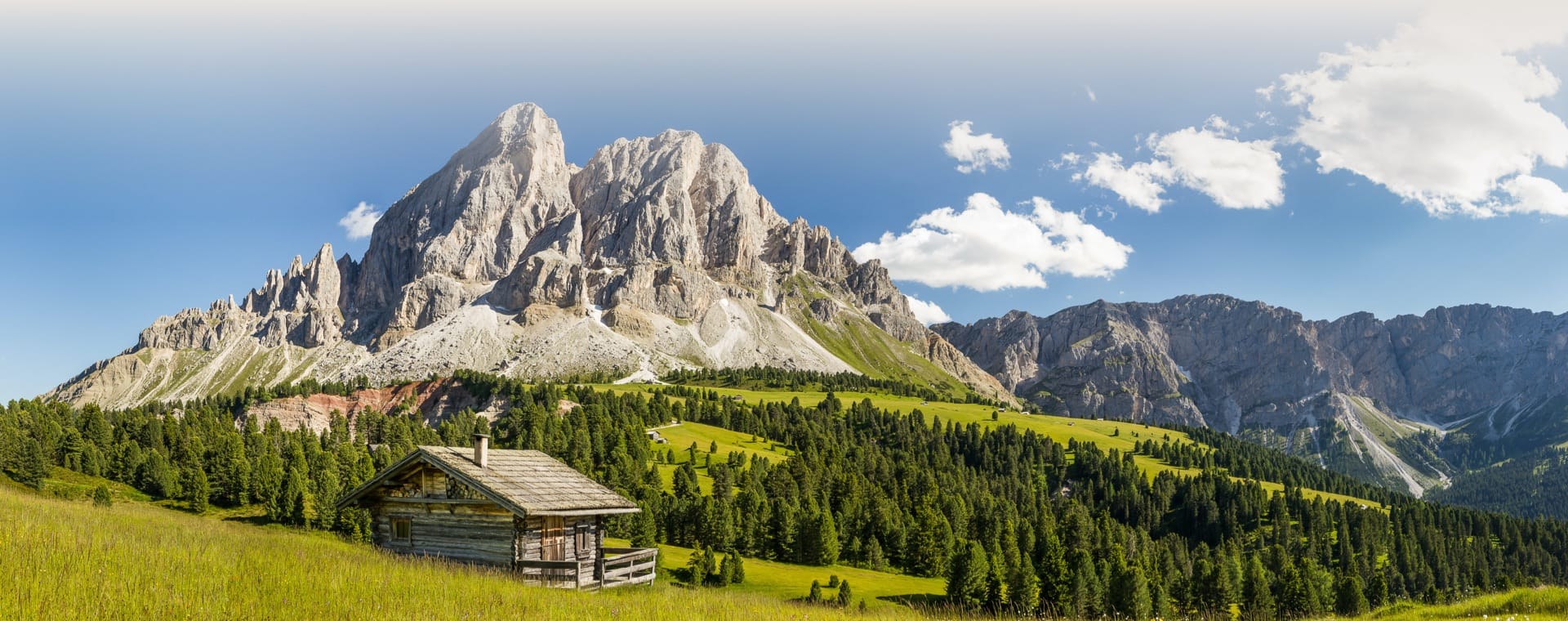 Estate al Passo delle Erbe